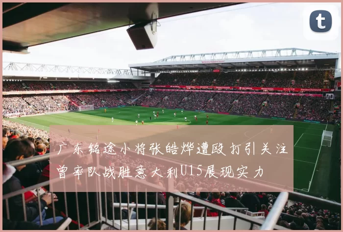 广东铭途小将张皓烨遭殴打引关注曾率队战胜意大利U15展现实力
